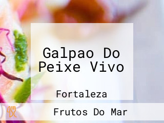 Galpao Do Peixe Vivo