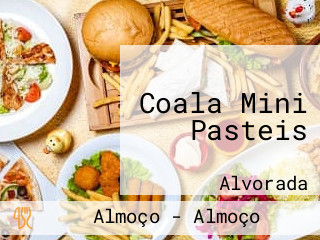 Coala Mini Pasteis