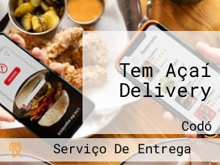 Tem Açaí Delivery