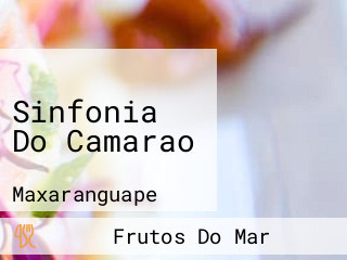 Sinfonia Do Camarao