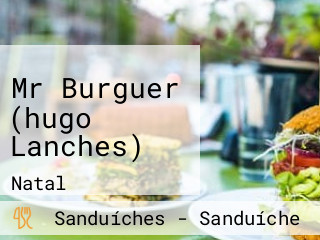 Mr Burguer (hugo Lanches)