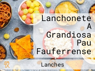 Lanchonete A Grandiosa Pau Fauferrense