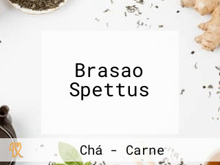 Brasao Spettus