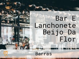 Bar E Lanchonete Beijo Da Flor
