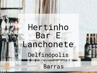 Hertinho Bar E Lanchonete