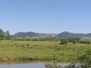 Tupassi