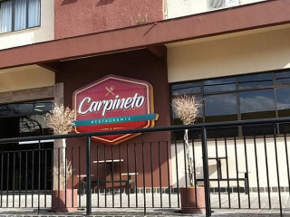 Carpineto