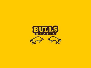 Bulls Brasil