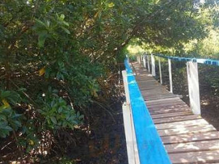 Pai D’egua De Soure