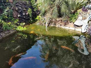 Big Peixe