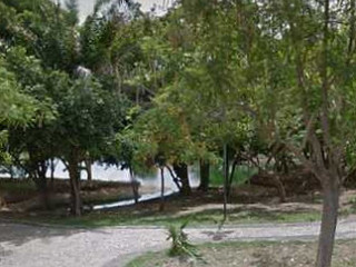 Tabocas