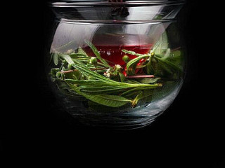 Alimentar
