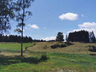 Area De Lazer Buenos Parque