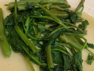 Cantinho Gelado
