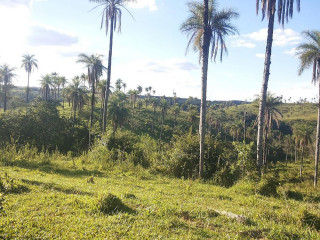 E Lanchonete Point
