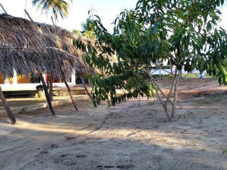 Oitibar
