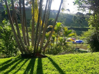 Pesqueiro E Manacá