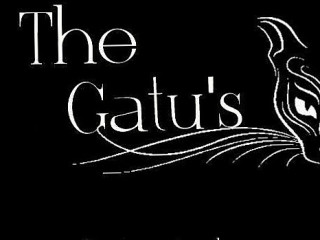 The Gatu's Espetos E Lanches